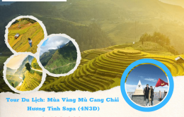 Tour Du Lịch Mùa Vàng Mù Cang Chải - Hương Tình Sapa 4N3Đ